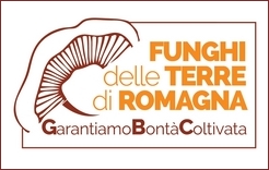 Gbc Funghi delle Terre di Romagna